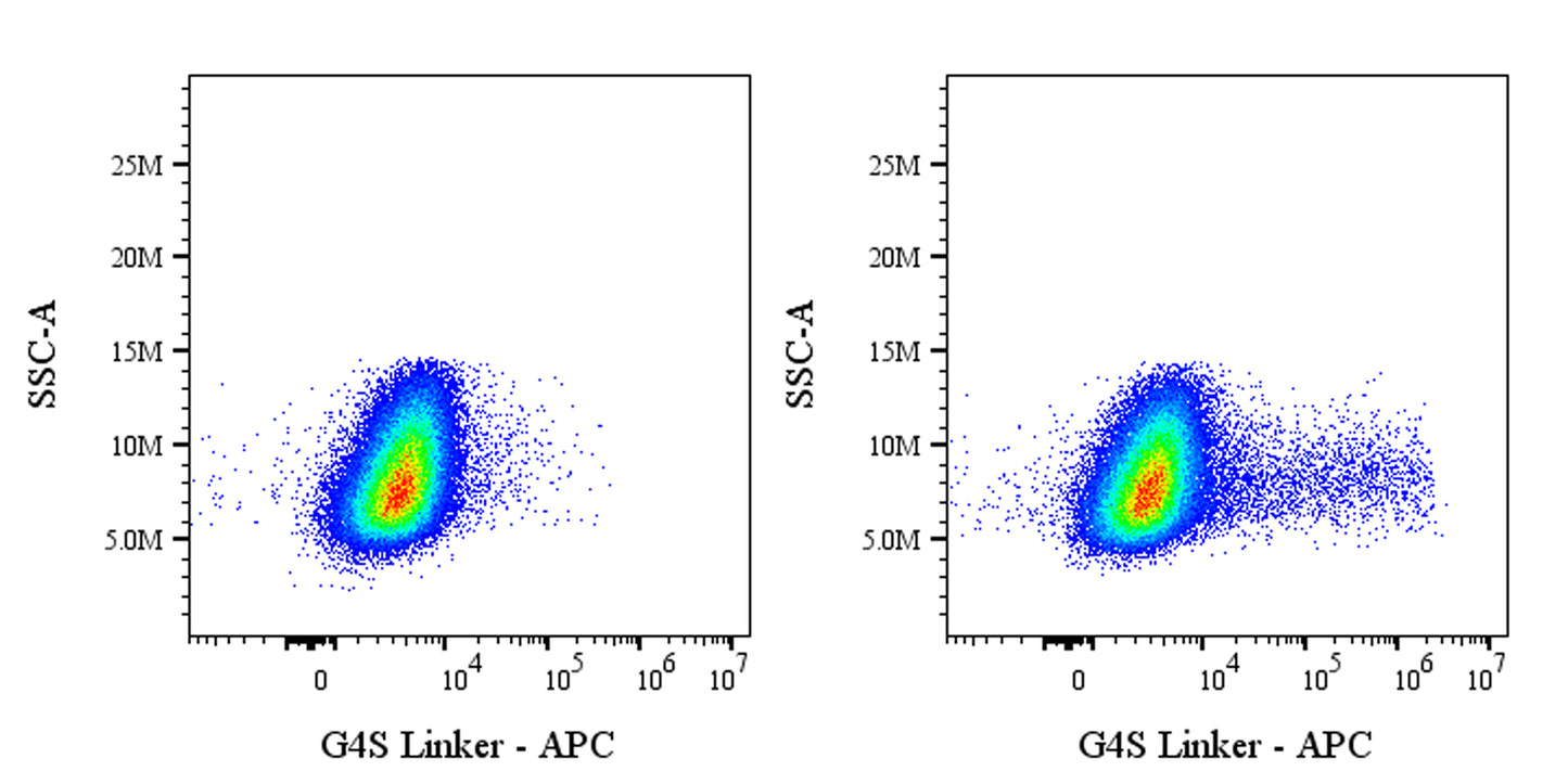 G4S Linker Recombinant Rabbit mAb (APC Conjugate) (S-5030)