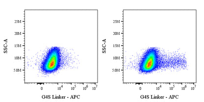 G4S Linker Recombinant Rabbit mAb (APC Conjugate) (S-5030)