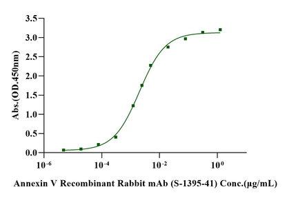 Annexin V His Tag Protein, Human
