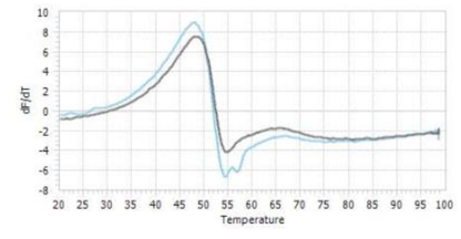USP16 Protein