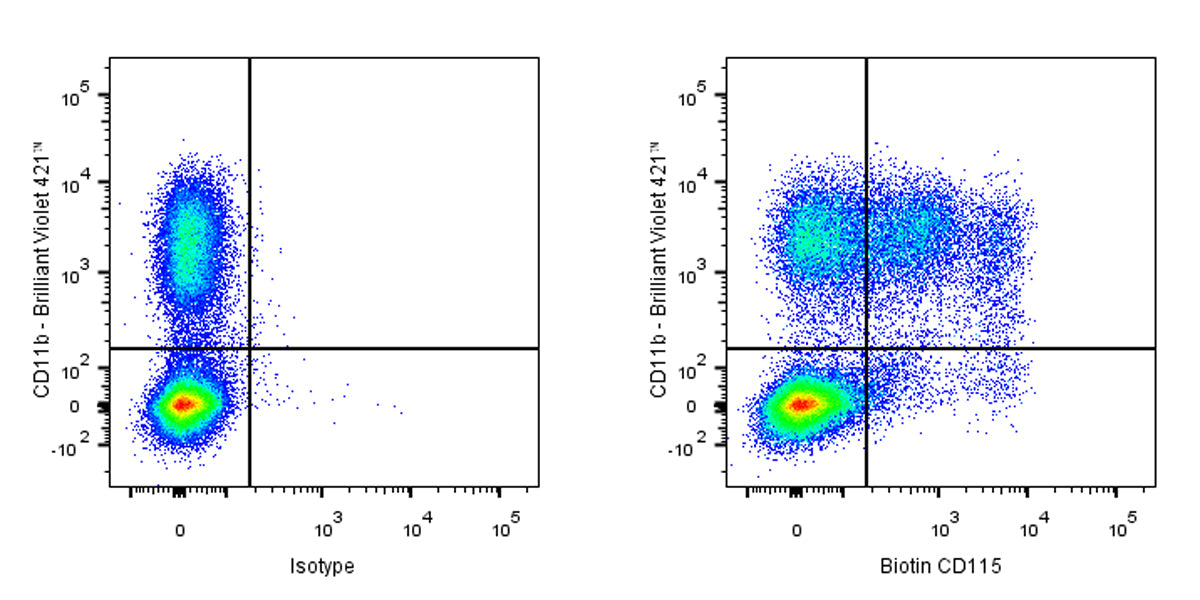 Biotin Rat Anti-Mouse CD115 Antibody (AFS98)