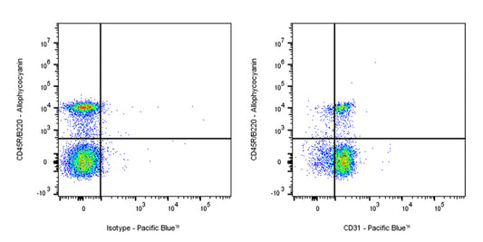 Pacific Blue Rat Anti-Mouse CD31 Antibody (MEC13.3)