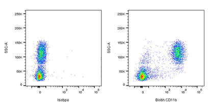 Biotin Rat Anti-Mouse/Human CD11b Antibody (M1/70)