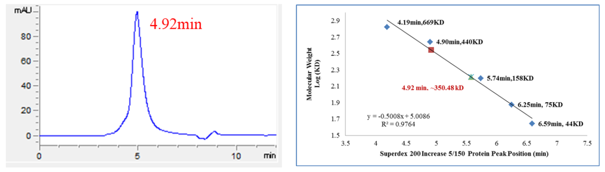 CDK19/Cyclin C/MED12 Protein