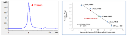 CDK19/Cyclin C/MED12 Protein