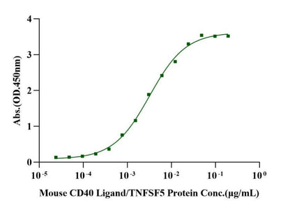 CD40 Fc Chimera Protein, Mouse