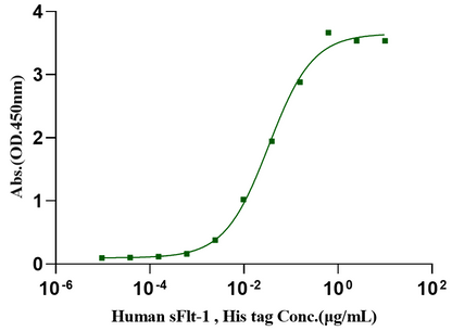PlGF-2/PLGF/PGF Protein, Mouse