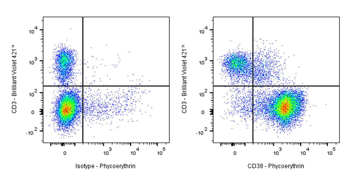 PE Rat Anti-Mouse CD38 Antibody (90)