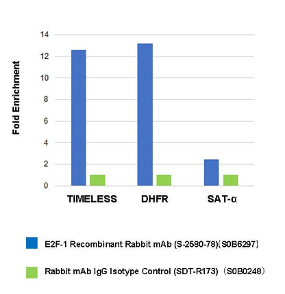 E2F-1 Recombinant Rabbit mAb (S-2580-78)