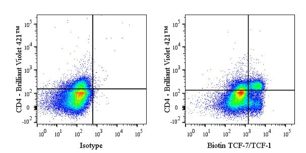 Biotin Mouse Anti-Human/Mouse TCF-7/TCF-1 Antibody (S-4484)