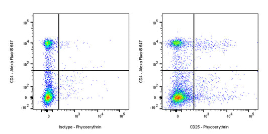 PE Rat Anti-Mouse CD25 Antibody (S-R441)