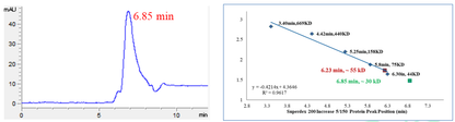 Cyclin B1 Protein, Human