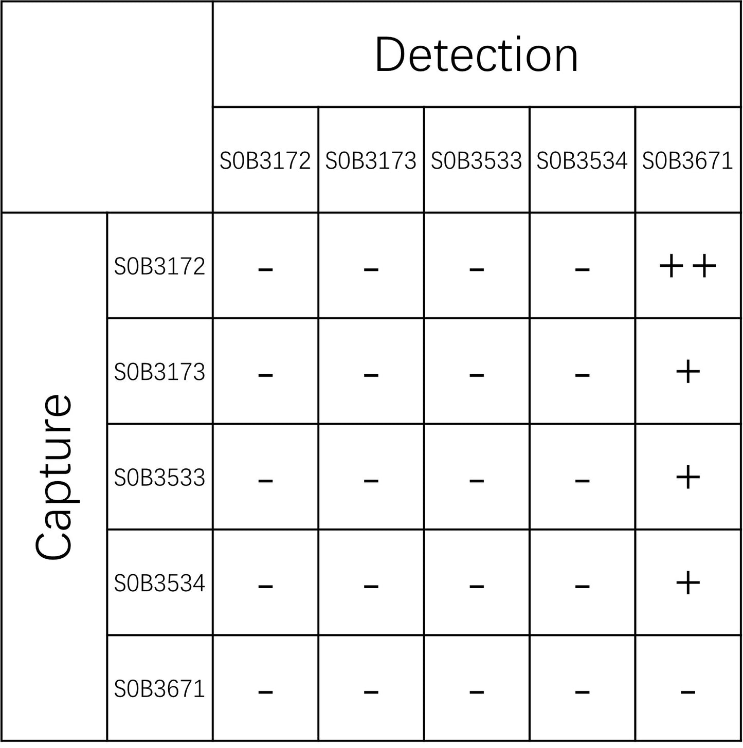 BD-Tau Recombinant Rabbit mAb (SDT-2848-20)