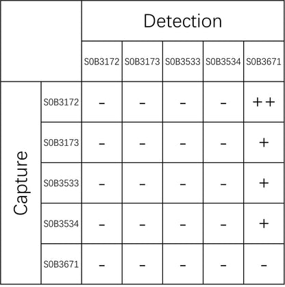 BD-Tau Recombinant Rabbit mAb (SDT-2848-20)