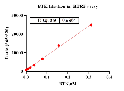 BTK Protein