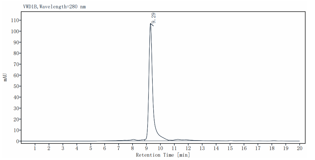 NNMT His Tag Protein, Rhesus macaque