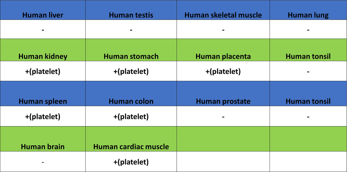 PF4 Recombinant Rabbit mAb (SDT-4218)