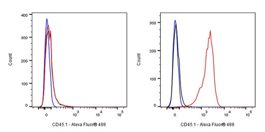 Mouse Anti-Mouse CD45.1 Antibody (A20)