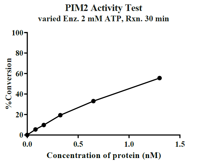PIM2 Protein, Human