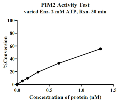 PIM2 Protein, Human