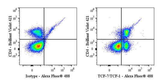 Alexa Fluor® 488 Mouse Anti-Human/Mouse TCF-7/TCF-1 Antibody (S-4484)
