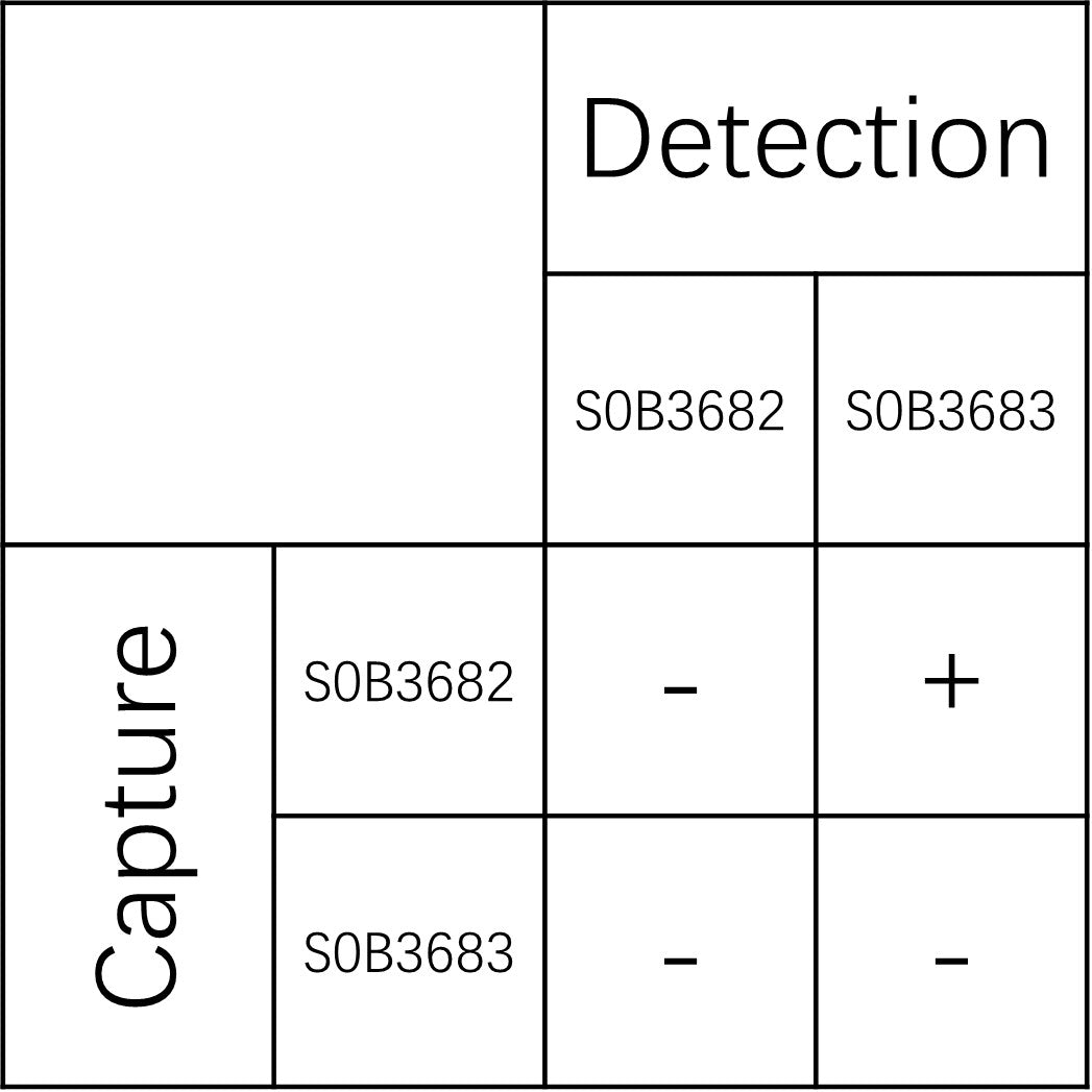 ADAM23 Recombinant Rabbit mAb (SDT-3115-10)