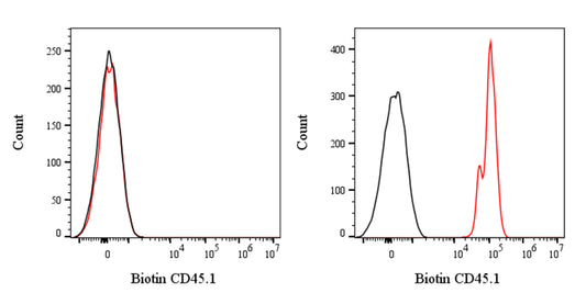Biotin Mouse Anti-Mouse CD45.1 Antibody (A20)