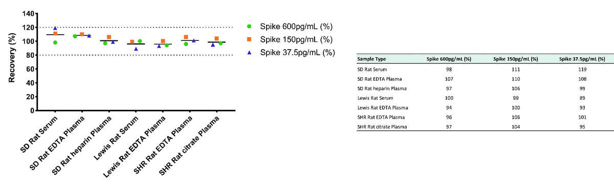 Rat IL-4 serum & plasma OneStep ELISA Kit