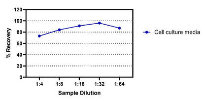 Rat IFN-γ OneStep ELISA Kit