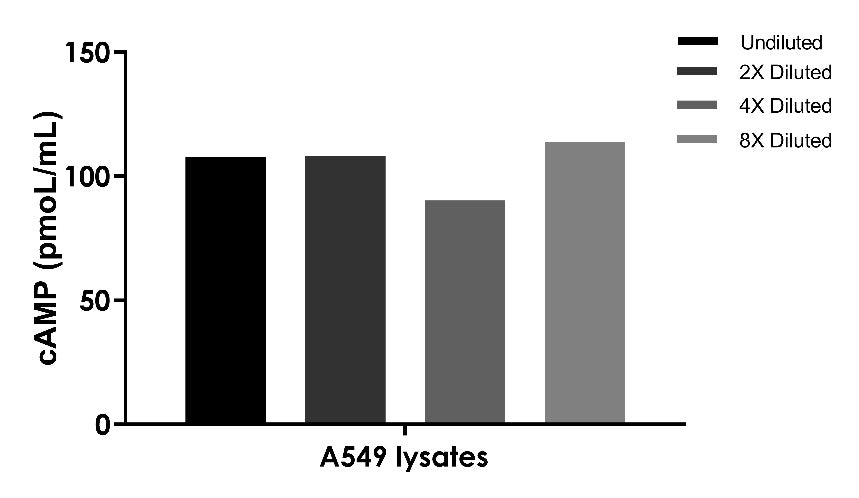 cAMP OneStep competitive ELISA Kit