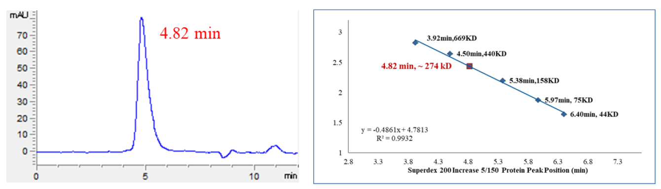 CDK13/Cyclin T1 Protein
