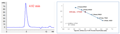 CDK13/Cyclin T1 Protein