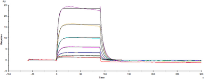 Fc γ RI/CD64 His Tag Protein, Mouse