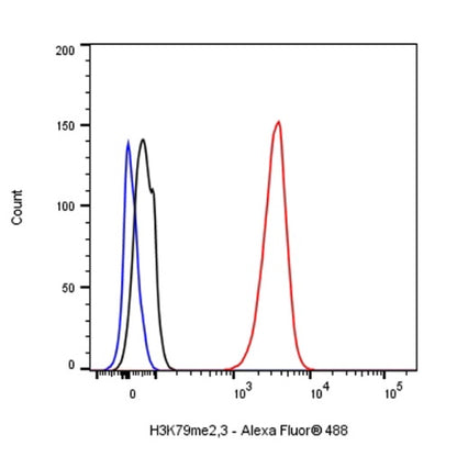 Histone H3 (di+tri methyl K79) Recombinant Rabbit mAb (S-854-48)