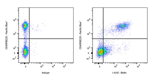 Biotin Rat Anti-Mouse I-A/I-E Antibody (S-R512)