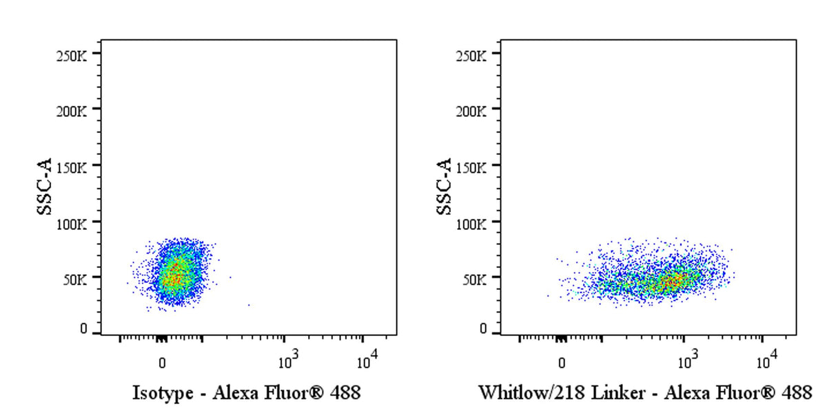 Whitlow/218 Linker Recombinant Rabbit mAb (Alexa Fluor® 488 conjugate) (S-712-10)
