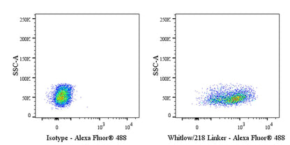 Whitlow/218 Linker Recombinant Rabbit mAb (Alexa Fluor® 488 conjugate) (S-712-10)