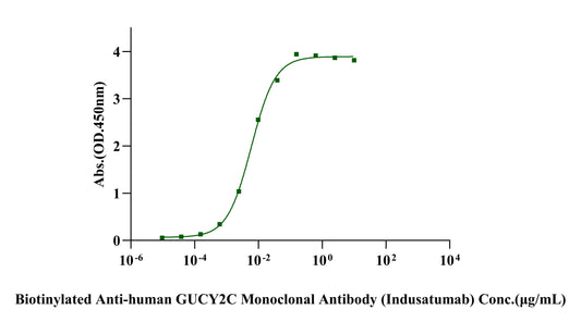 Anti-human GUCY2C Monoclonal Antibody (Indusatumab)