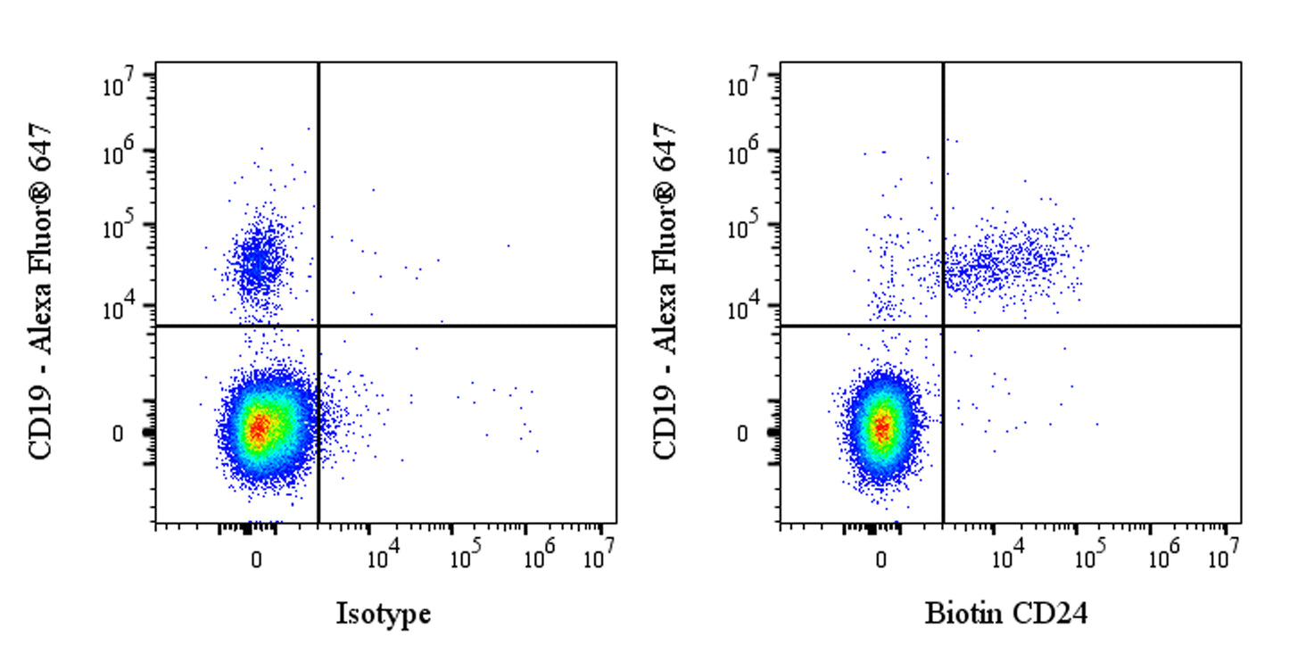 Biotin Rabbit Anti-Human CD24 Antibody (S-974-13)