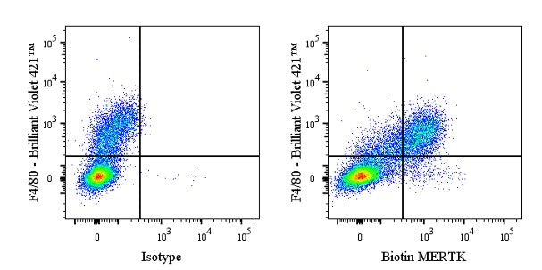 Biotin Rat Anti-Mouse MERTK Antibody (S-R603)