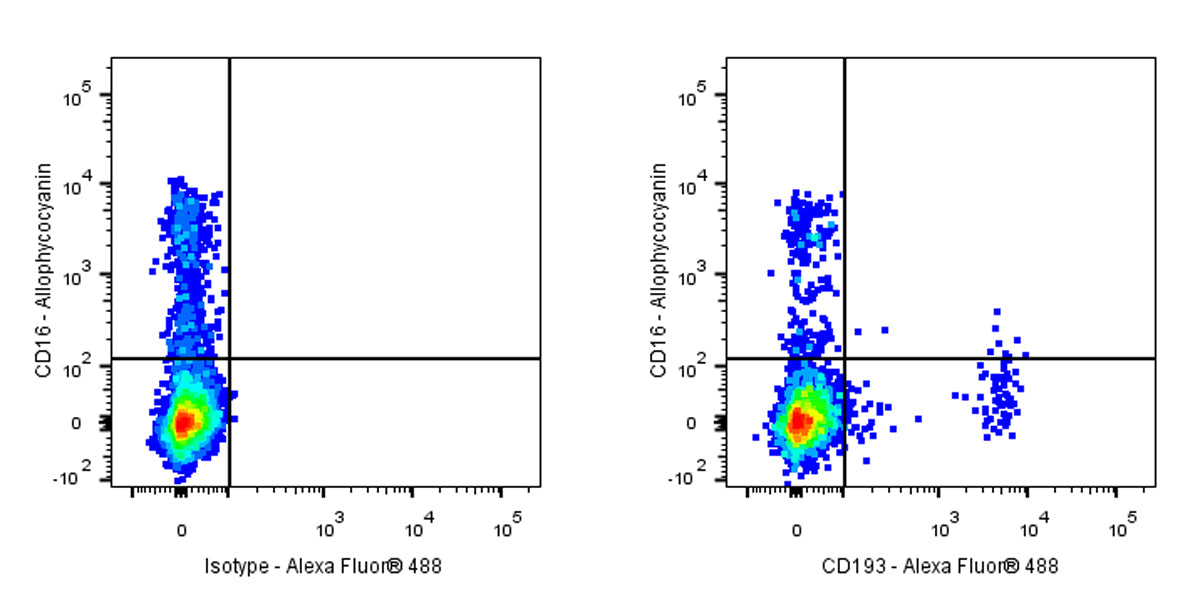 Mouse Anti-Human CD193 Antibody (5E8)