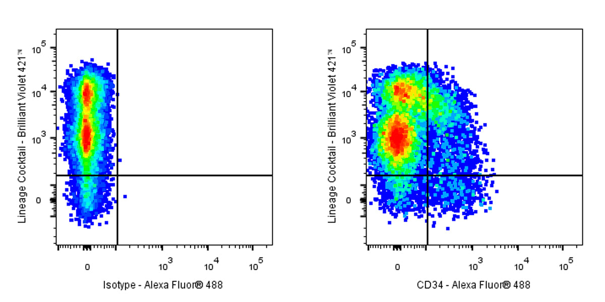 Alexa Fluor® 488 Rat Anti-Mouse CD34 Antibody (RAM34)