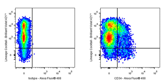 Alexa Fluor® 488 Rat Anti-Mouse CD34 Antibody (RAM34)