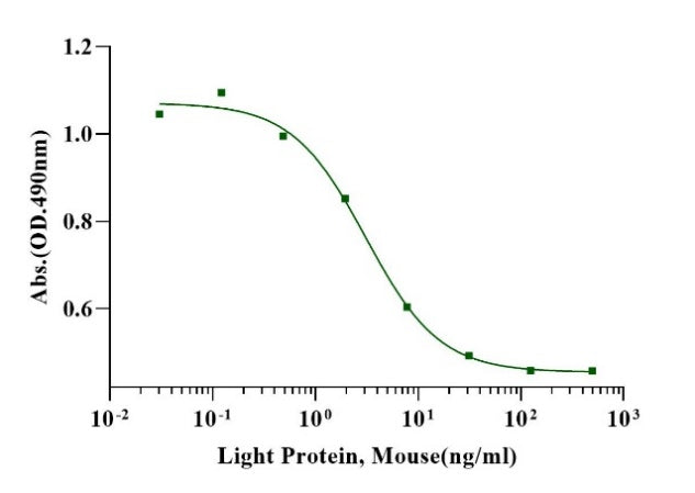 LIGHT Protein, Mouse