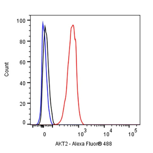 AKT2 Recombinant Rabbit mAb (S-2617-6)