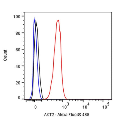 AKT2 Recombinant Rabbit mAb (S-2617-6)