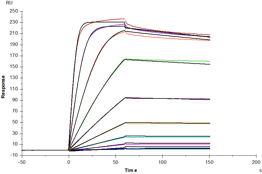 uPAR/CD87 His Tag Protein, Human