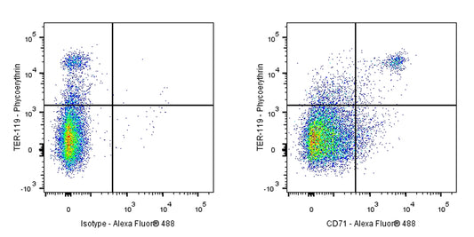 Rat Anti-Mouse CD71 Antibody (RI7217)
