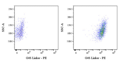 G4S Linker Recombinant Rabbit mAb (PE Conjugate) (S-5030)