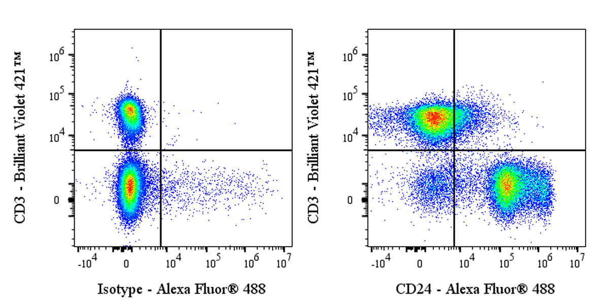 Alexa Fluor® 488 Rat Anti-Mouse CD24 Antibody (M1/69)